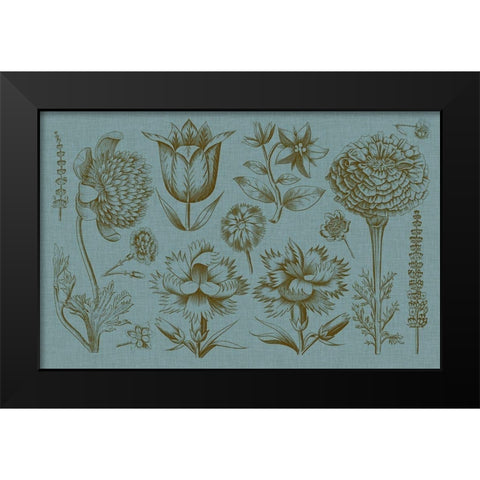 Flower Display II Black Modern Wood Framed Art Print by Vision Studio