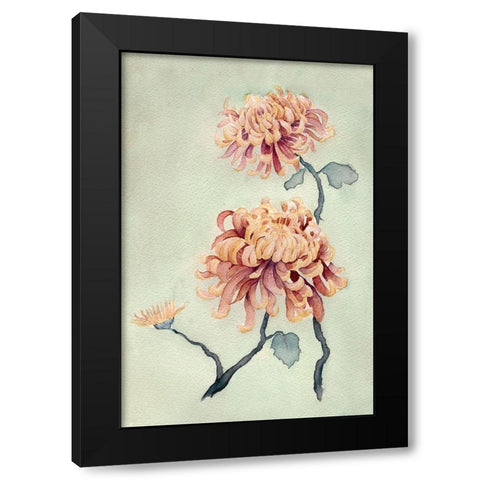 Chrysanthemum Beauty I Black Modern Wood Framed Art Print with Double Matting by Chabot, Natasha