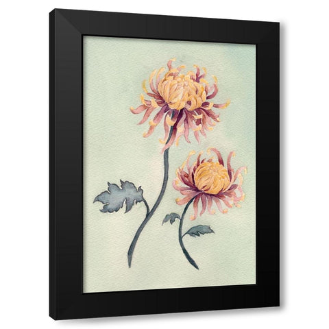 Chrysanthemum Beauty II Black Modern Wood Framed Art Print with Double Matting by Chabot, Natasha