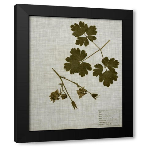 Pressed Leaves on Linen I Black Modern Wood Framed Art Print with Double Matting by Vision Studio