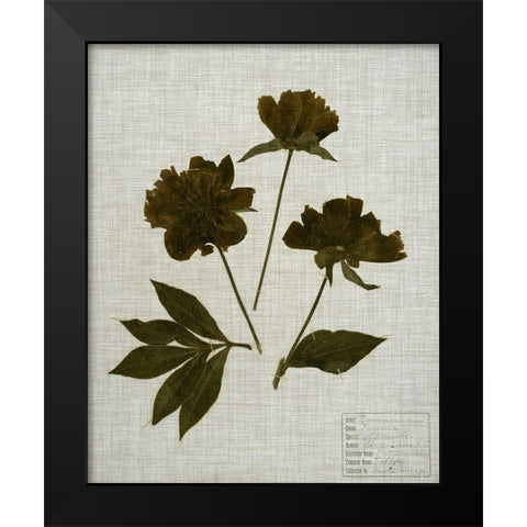 Pressed Leaves on Linen II Black Modern Wood Framed Art Print by Vision Studio