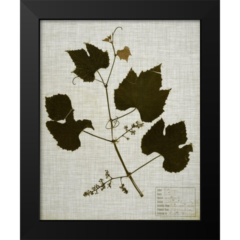 Pressed Leaves on Linen III Black Modern Wood Framed Art Print by Vision Studio