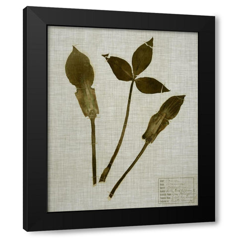 Pressed Leaves on Linen IV Black Modern Wood Framed Art Print by Vision Studio