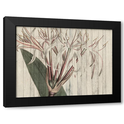 Rustic Floral I Black Modern Wood Framed Art Print by Studio W