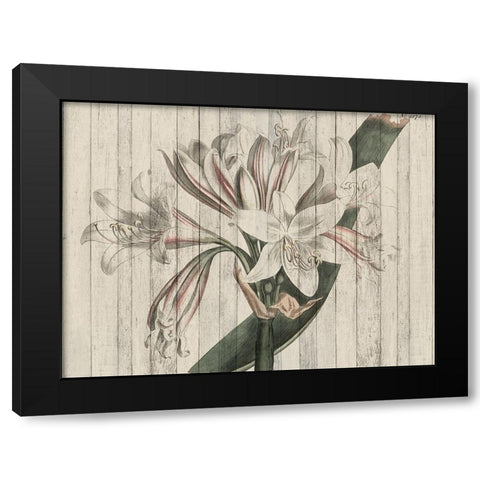 Rustic Floral II Black Modern Wood Framed Art Print by Studio W