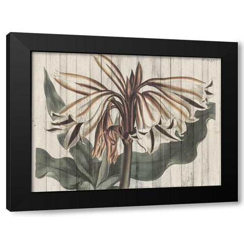 Rustic Floral III Black Modern Wood Framed Art Print with Double Matting by Studio W