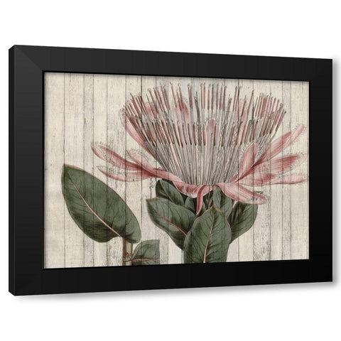 Rustic Floral IV Black Modern Wood Framed Art Print by Studio W