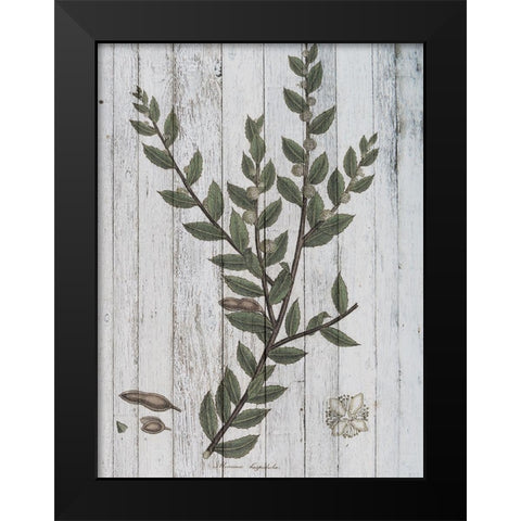 Rustic Greenery II Black Modern Wood Framed Art Print by Studio W