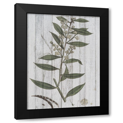 Rustic Greenery III Black Modern Wood Framed Art Print by Studio W