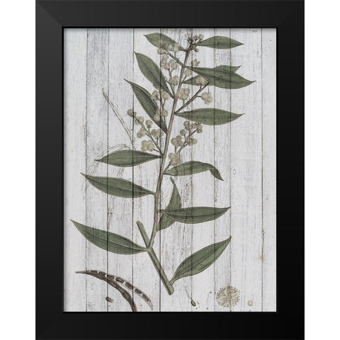 Rustic Greenery III Black Modern Wood Framed Art Print by Studio W