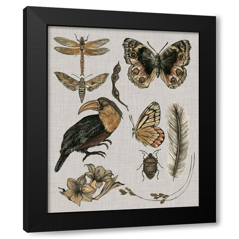 Nature Studies I Black Modern Wood Framed Art Print with Double Matting by Wang, Melissa