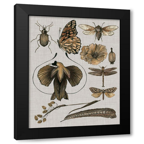 Nature Studies II Black Modern Wood Framed Art Print with Double Matting by Wang, Melissa