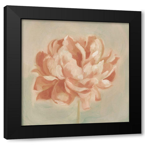 Spring Peony II Black Modern Wood Framed Art Print with Double Matting by Scarvey, Emma