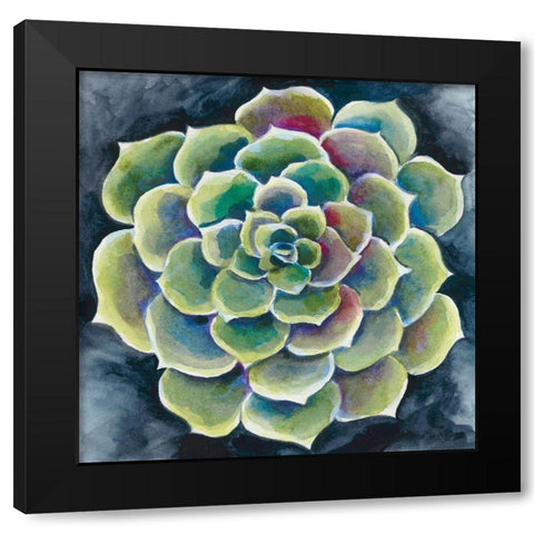 Succulent Rosette II Black Modern Wood Framed Art Print with Double Matting by Zarris, Chariklia