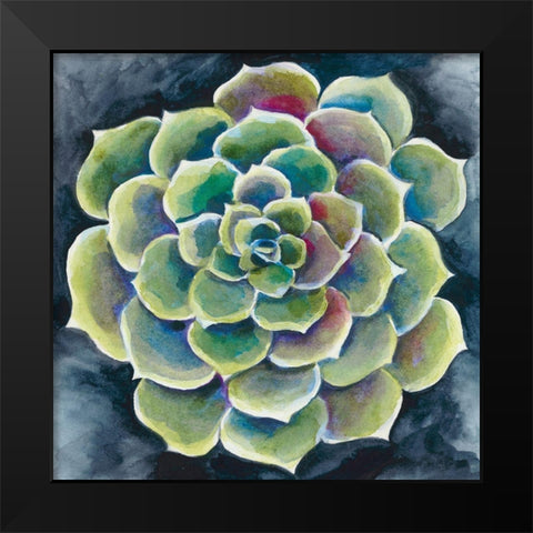 Succulent Rosette II Black Modern Wood Framed Art Print by Zarris, Chariklia