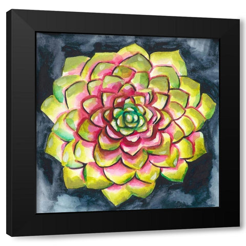 Succulent Rosette III Black Modern Wood Framed Art Print with Double Matting by Zarris, Chariklia