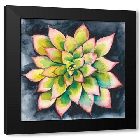 Succulent Rosette IV Black Modern Wood Framed Art Print with Double Matting by Zarris, Chariklia