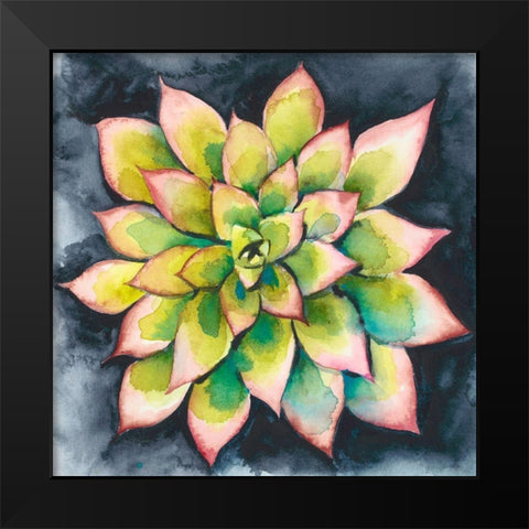 Succulent Rosette IV Black Modern Wood Framed Art Print by Zarris, Chariklia