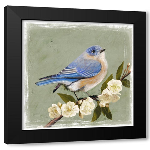 Bluebird Branch I Black Modern Wood Framed Art Print by Borges, Victoria