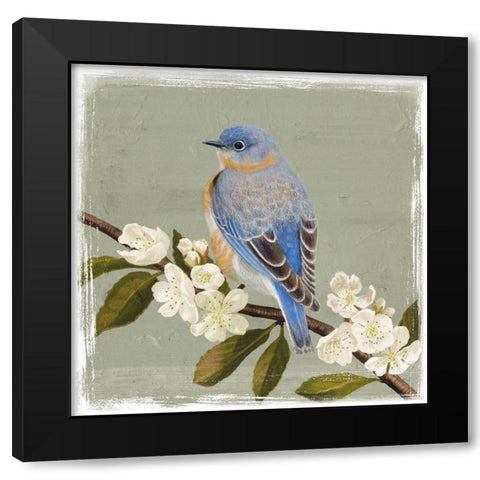Bluebird Branch II Black Modern Wood Framed Art Print with Double Matting by Borges, Victoria