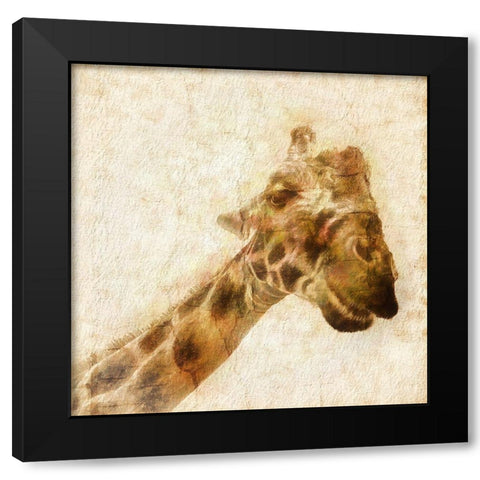 Inspektor II Black Modern Wood Framed Art Print by Hartson-Weddle, Ryan