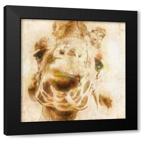 Inspektor IV Black Modern Wood Framed Art Print with Double Matting by Hartson-Weddle, Ryan
