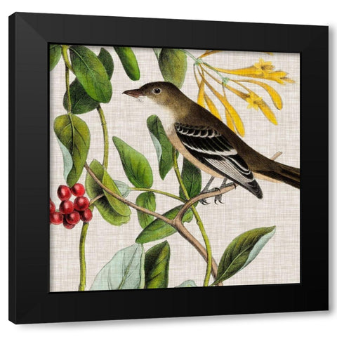 Avian Crop II Black Modern Wood Framed Art Print with Double Matting by Audubon, John James