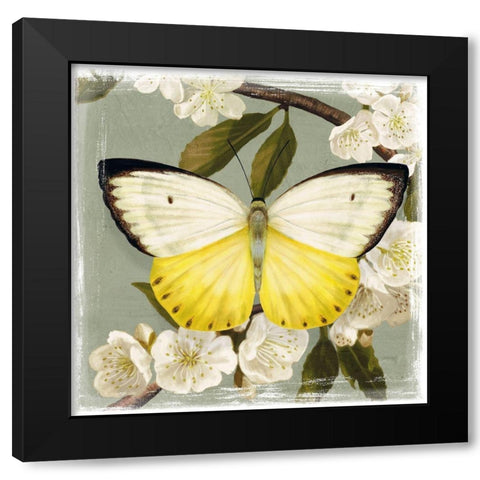 Butterfly Branch I Black Modern Wood Framed Art Print by Borges, Victoria
