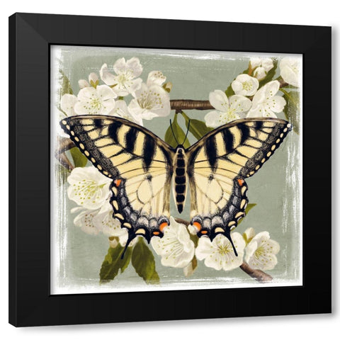 Butterfly Branch II Black Modern Wood Framed Art Print by Borges, Victoria