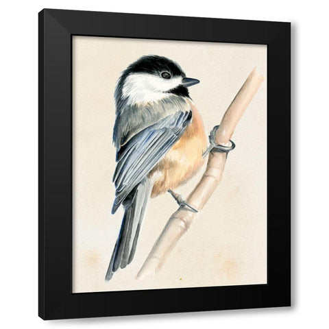 Little Bird on Branch II Black Modern Wood Framed Art Print by Parker, Jennifer Paxton