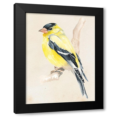 Little Bird on Branch III Black Modern Wood Framed Art Print with Double Matting by Parker, Jennifer Paxton