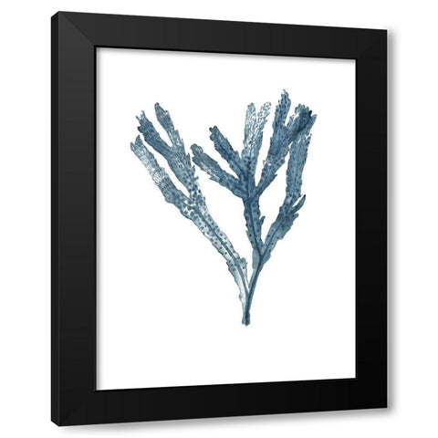 Seaweed Specimens on White I Black Modern Wood Framed Art Print by McCavitt, Naomi
