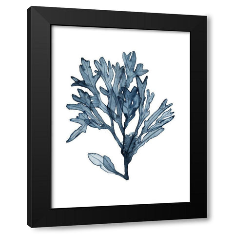 Seaweed Specimens on White II Black Modern Wood Framed Art Print with Double Matting by McCavitt, Naomi