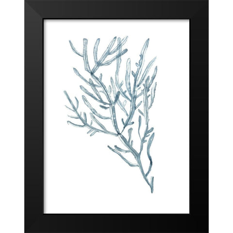 Seaweed Specimens on White III Black Modern Wood Framed Art Print by McCavitt, Naomi