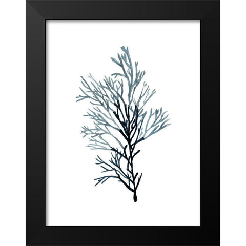 Seaweed Specimens on White IV Black Modern Wood Framed Art Print by McCavitt, Naomi