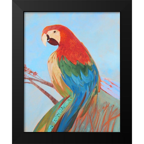 Parrot Wonder II Black Modern Wood Framed Art Print by Forgard, Larry