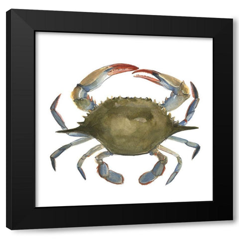 Watercolor Crab II Black Modern Wood Framed Art Print with Double Matting by Scarvey, Emma