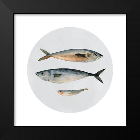 Three Fish I Black Modern Wood Framed Art Print by Scarvey, Emma