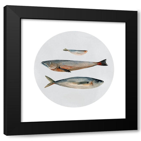 Three Fish II Black Modern Wood Framed Art Print by Scarvey, Emma