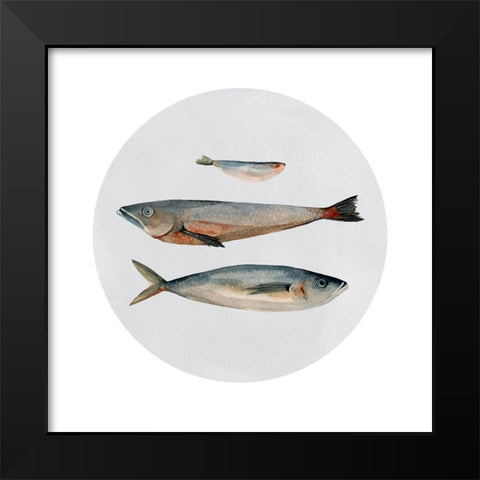 Three Fish II Black Modern Wood Framed Art Print by Scarvey, Emma