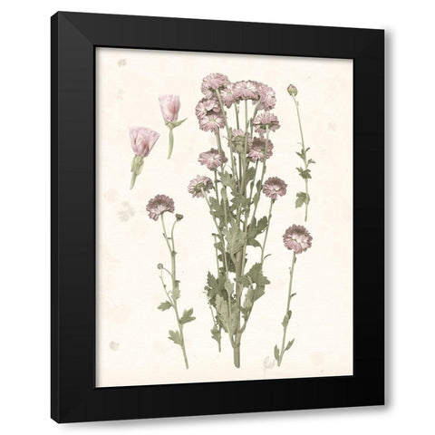 Pressed Blooms I Black Modern Wood Framed Art Print with Double Matting by Popp, Grace