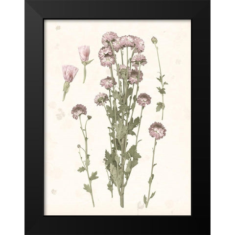 Pressed Blooms I Black Modern Wood Framed Art Print by Popp, Grace