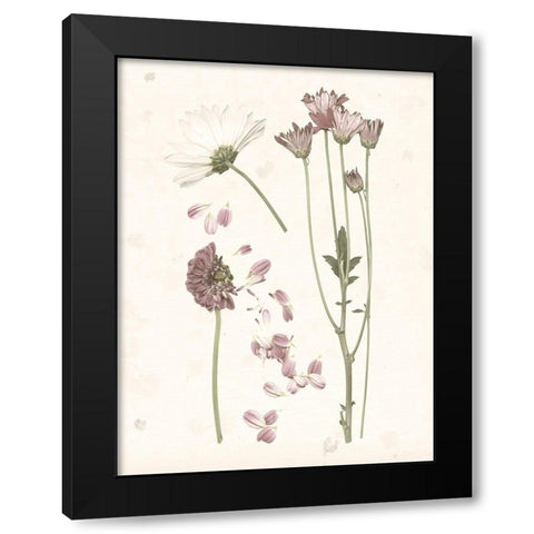 Pressed Blooms II Black Modern Wood Framed Art Print with Double Matting by Popp, Grace