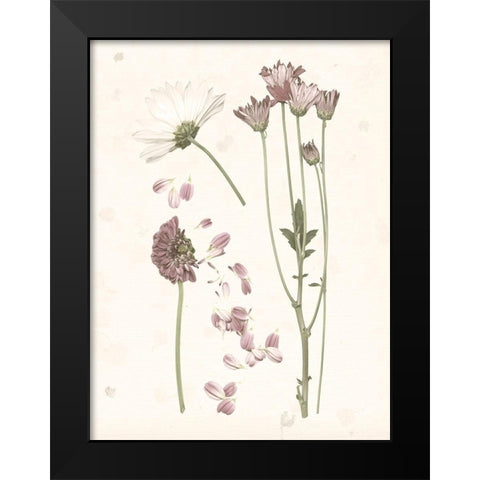 Pressed Blooms II Black Modern Wood Framed Art Print by Popp, Grace