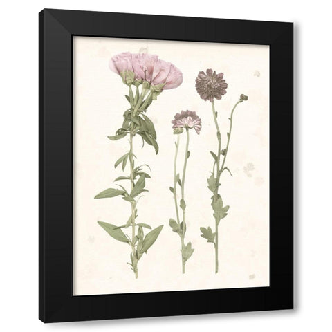 Pressed Blooms III Black Modern Wood Framed Art Print by Popp, Grace