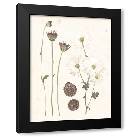 Pressed Blooms IV Black Modern Wood Framed Art Print with Double Matting by Popp, Grace