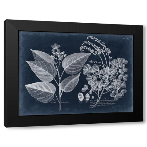 Foliage on Navy III Black Modern Wood Framed Art Print with Double Matting by Vision Studio