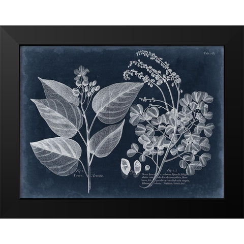 Foliage on Navy III Black Modern Wood Framed Art Print by Vision Studio