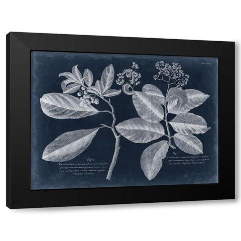 Foliage on Navy IV Black Modern Wood Framed Art Print with Double Matting by Vision Studio