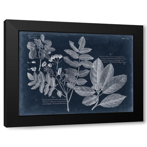 Foliage on Navy V Black Modern Wood Framed Art Print by Vision Studio